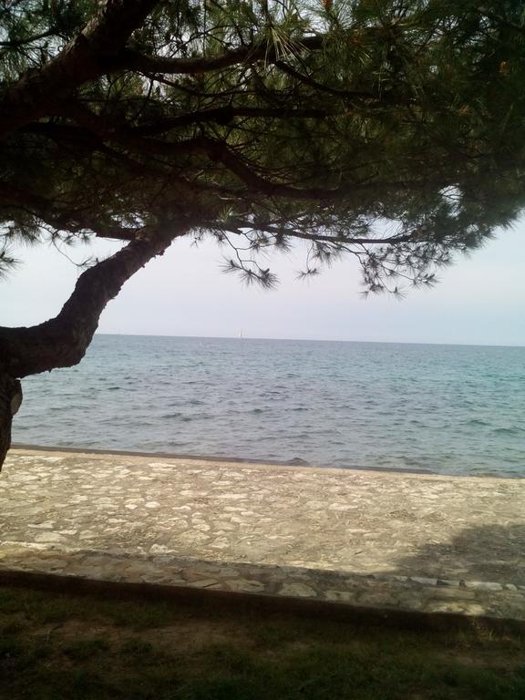 House Monika Appartement Poreč Buitenkant foto